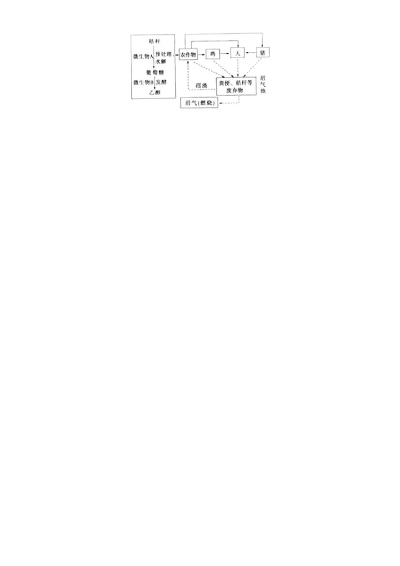 2019年山东省枣庄市中考生物试卷真题（含解析）_中考真题_8.生物中考真题2015-2024年_地区卷_山东省_枣庄生物10-22缺20