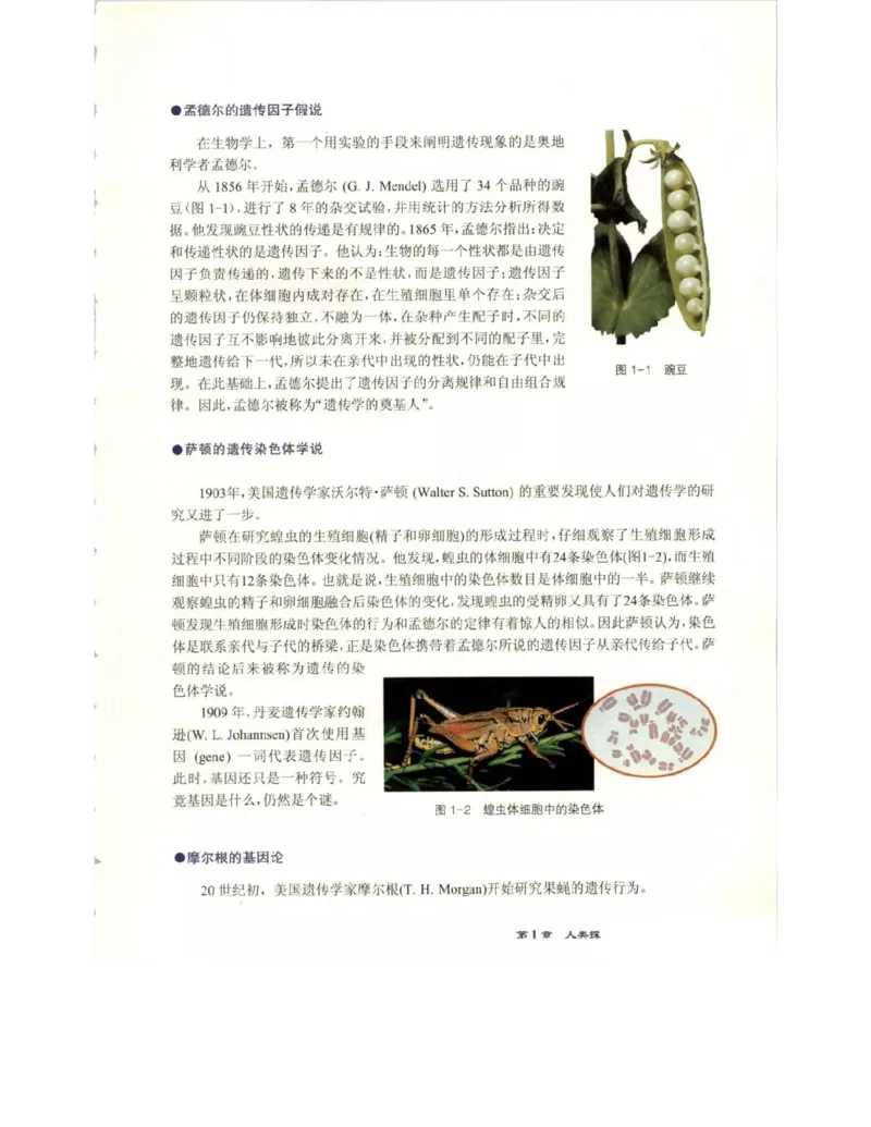 北师大版高中生物必修2电子课本_4-教培资料-26年最新资料-同步更新_初中高中教资_03科三专项（进去保存报考的学科即可）_02科三专项（笔记真题思维导图教学设计版本二）