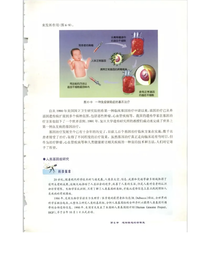 北师大版高中生物必修2电子课本_4-教培资料-26年最新资料-同步更新_初中高中教资_03科三专项（进去保存报考的学科即可）_02科三专项（笔记真题思维导图教学设计版本二）