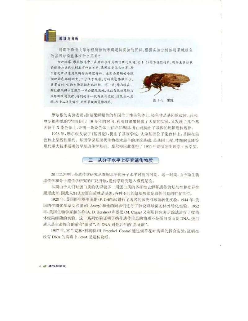 北师大版高中生物必修2电子课本_4-教培资料-26年最新资料-同步更新_初中高中教资_03科三专项（进去保存报考的学科即可）_02科三专项（笔记真题思维导图教学设计版本二）