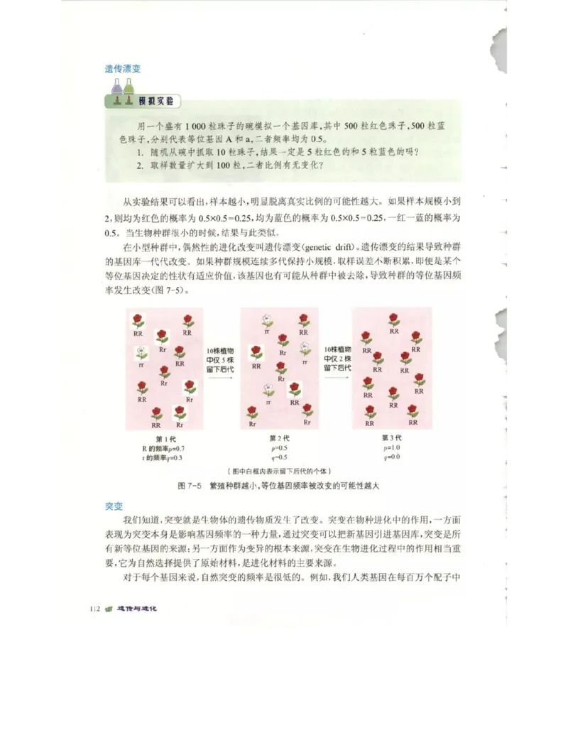 北师大版高中生物必修2电子课本_4-教培资料-26年最新资料-同步更新_初中高中教资_03科三专项（进去保存报考的学科即可）_02科三专项（笔记真题思维导图教学设计版本二）