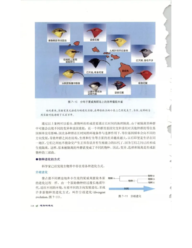 北师大版高中生物必修2电子课本_4-教培资料-26年最新资料-同步更新_初中高中教资_03科三专项（进去保存报考的学科即可）_02科三专项（笔记真题思维导图教学设计版本二）