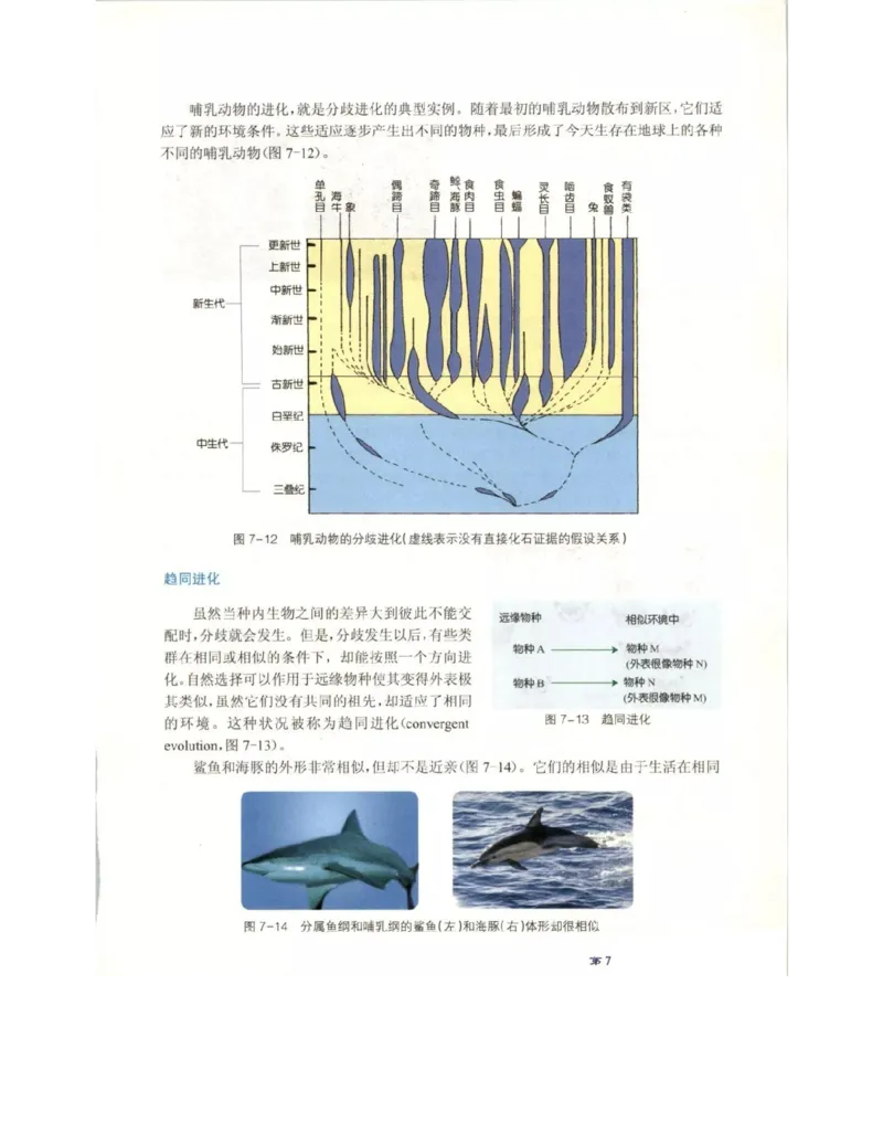 北师大版高中生物必修2电子课本_4-教培资料-26年最新资料-同步更新_初中高中教资_03科三专项（进去保存报考的学科即可）_02科三专项（笔记真题思维导图教学设计版本二）