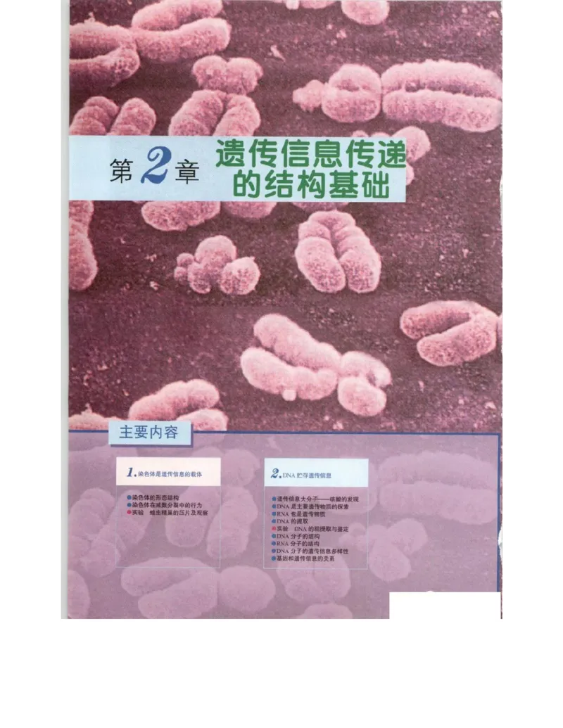 北师大版高中生物必修2电子课本_4-教培资料-26年最新资料-同步更新_初中高中教资_03科三专项（进去保存报考的学科即可）_02科三专项（笔记真题思维导图教学设计版本二）