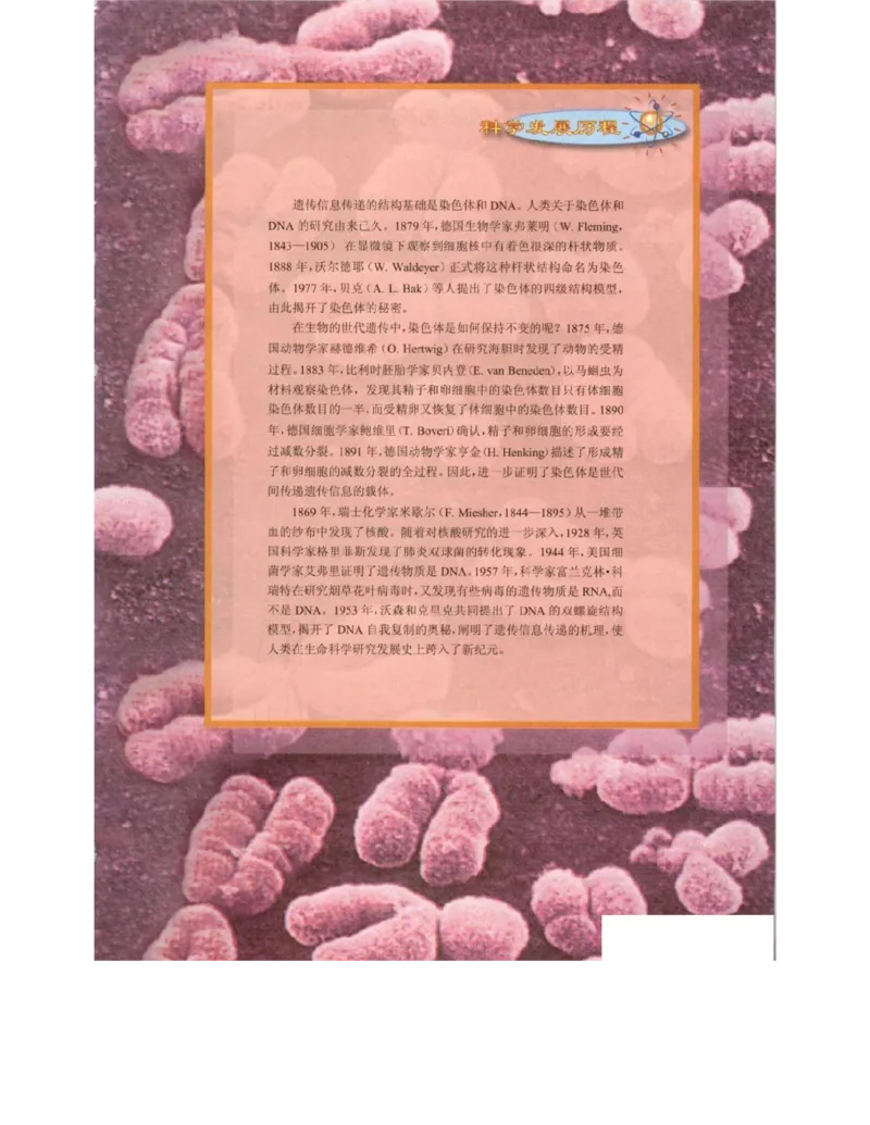 北师大版高中生物必修2电子课本_4-教培资料-26年最新资料-同步更新_初中高中教资_03科三专项（进去保存报考的学科即可）_02科三专项（笔记真题思维导图教学设计版本二）