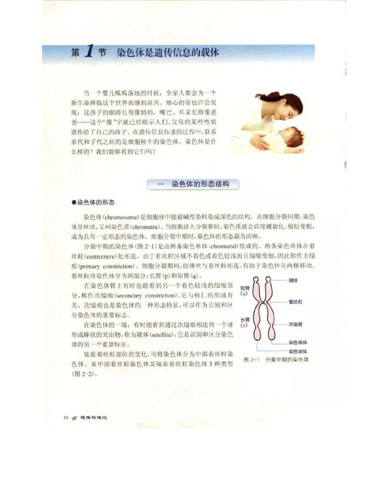 北师大版高中生物必修2电子课本_4-教培资料-26年最新资料-同步更新_初中高中教资_03科三专项（进去保存报考的学科即可）_02科三专项（笔记真题思维导图教学设计版本二）