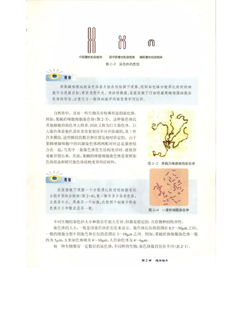 北师大版高中生物必修2电子课本_4-教培资料-26年最新资料-同步更新_初中高中教资_03科三专项（进去保存报考的学科即可）_02科三专项（笔记真题思维导图教学设计版本二）