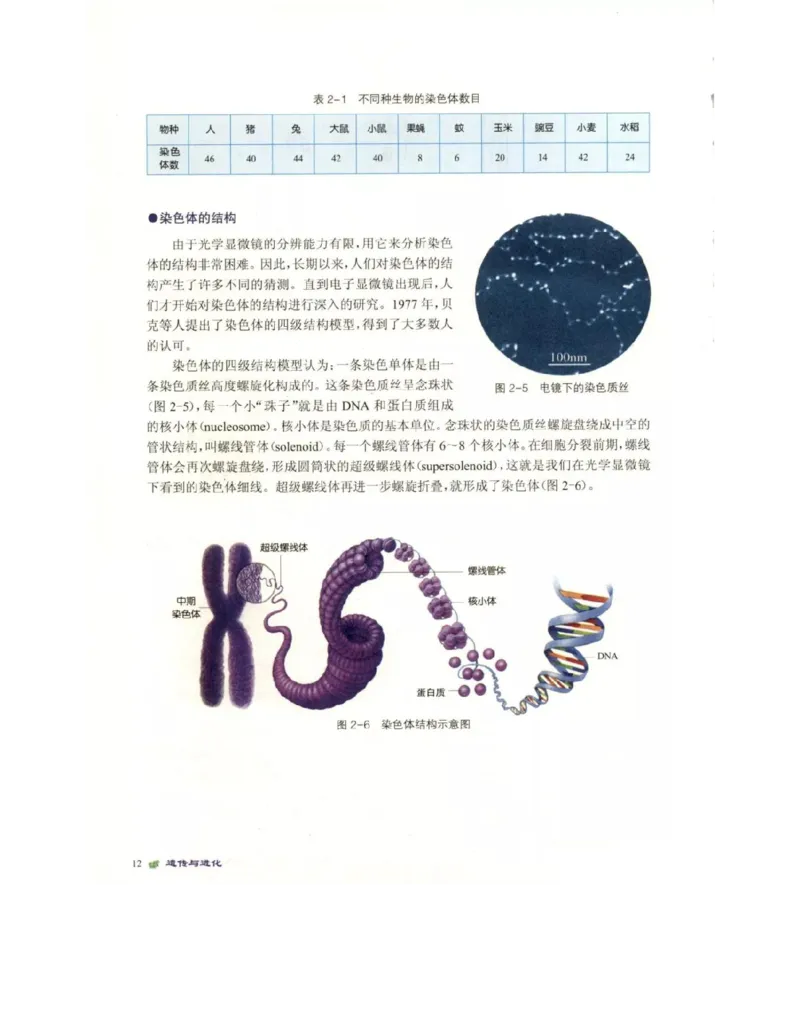 北师大版高中生物必修2电子课本_4-教培资料-26年最新资料-同步更新_初中高中教资_03科三专项（进去保存报考的学科即可）_02科三专项（笔记真题思维导图教学设计版本二）