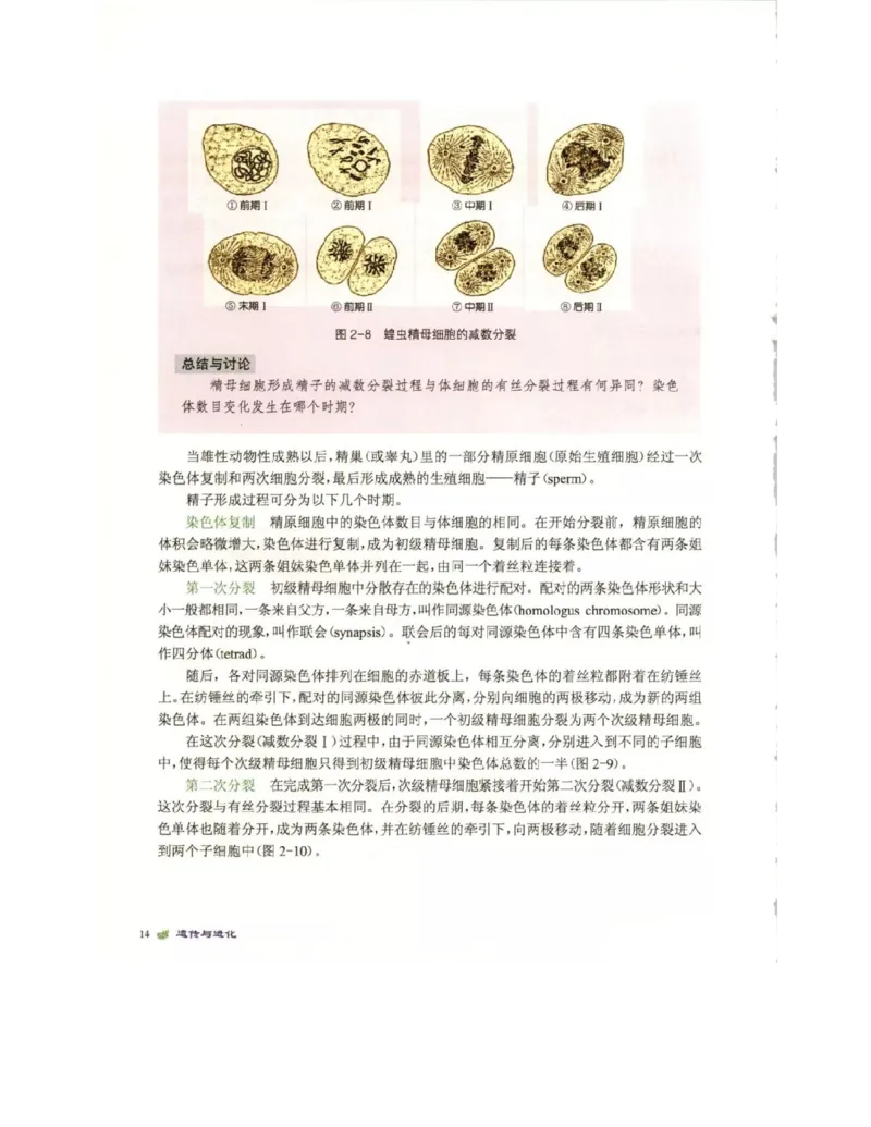 北师大版高中生物必修2电子课本_4-教培资料-26年最新资料-同步更新_初中高中教资_03科三专项（进去保存报考的学科即可）_02科三专项（笔记真题思维导图教学设计版本二）