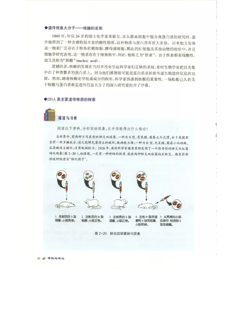 北师大版高中生物必修2电子课本_4-教培资料-26年最新资料-同步更新_初中高中教资_03科三专项（进去保存报考的学科即可）_02科三专项（笔记真题思维导图教学设计版本二）