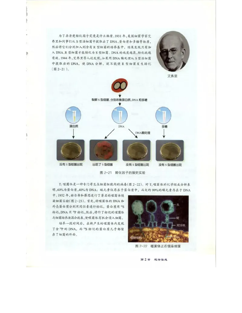 北师大版高中生物必修2电子课本_4-教培资料-26年最新资料-同步更新_初中高中教资_03科三专项（进去保存报考的学科即可）_02科三专项（笔记真题思维导图教学设计版本二）