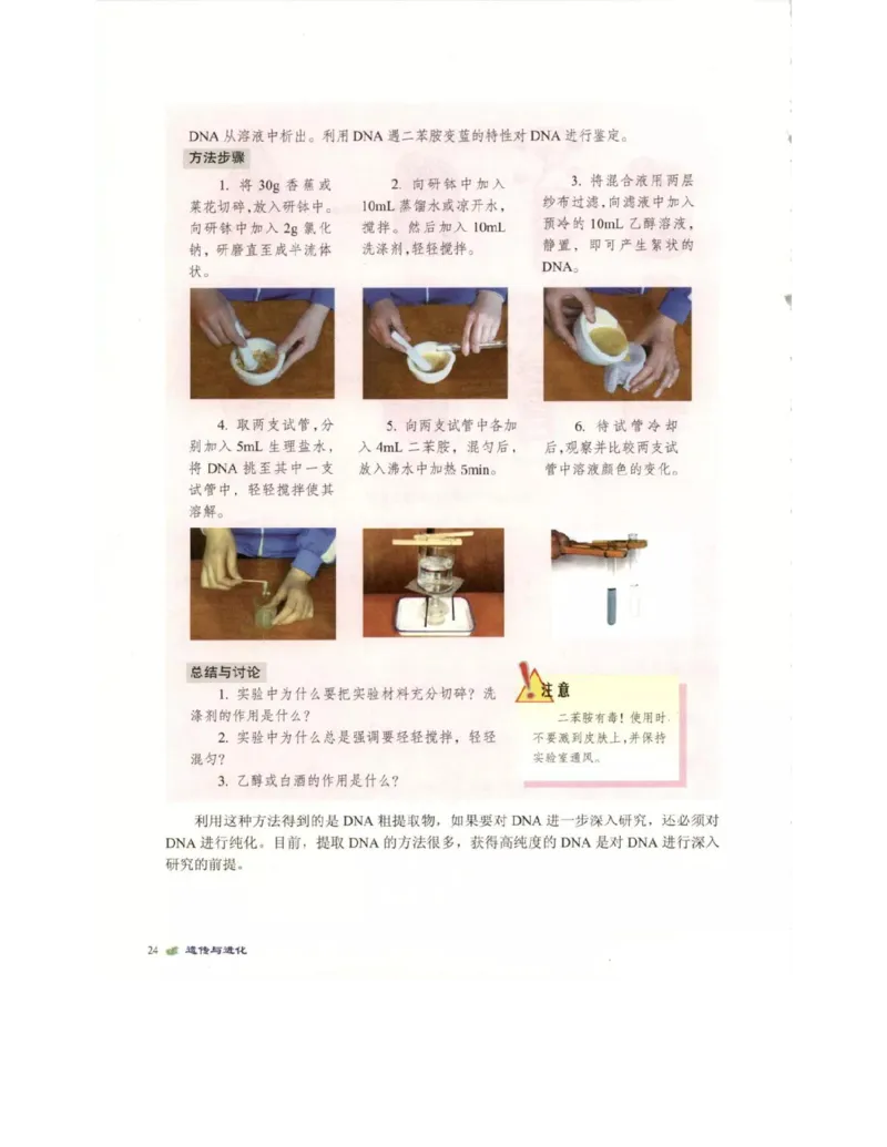 北师大版高中生物必修2电子课本_4-教培资料-26年最新资料-同步更新_初中高中教资_03科三专项（进去保存报考的学科即可）_02科三专项（笔记真题思维导图教学设计版本二）