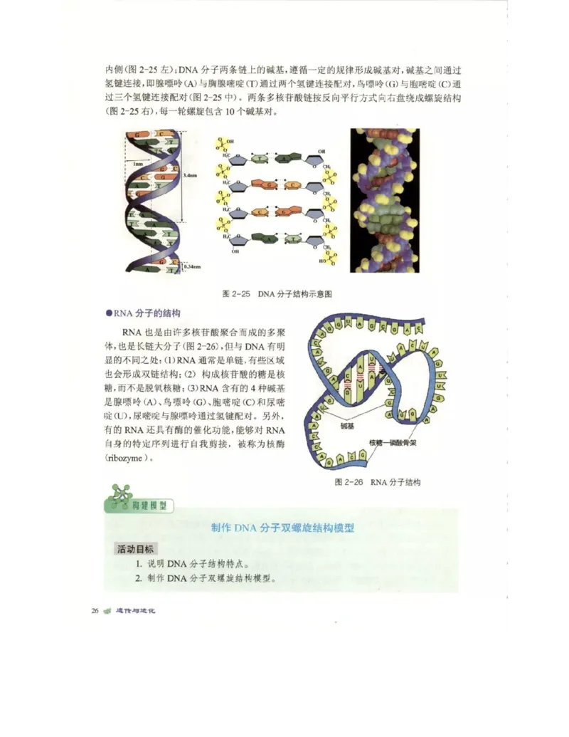 北师大版高中生物必修2电子课本_4-教培资料-26年最新资料-同步更新_初中高中教资_03科三专项（进去保存报考的学科即可）_02科三专项（笔记真题思维导图教学设计版本二）