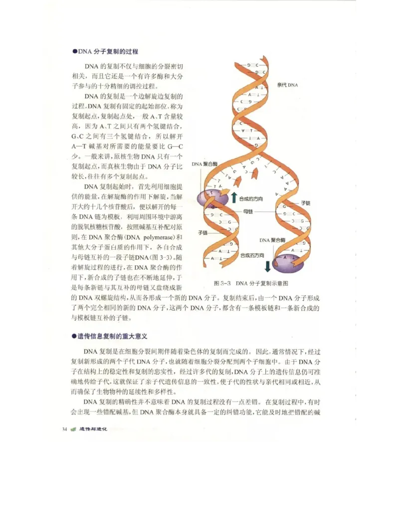 北师大版高中生物必修2电子课本_4-教培资料-26年最新资料-同步更新_初中高中教资_03科三专项（进去保存报考的学科即可）_02科三专项（笔记真题思维导图教学设计版本二）
