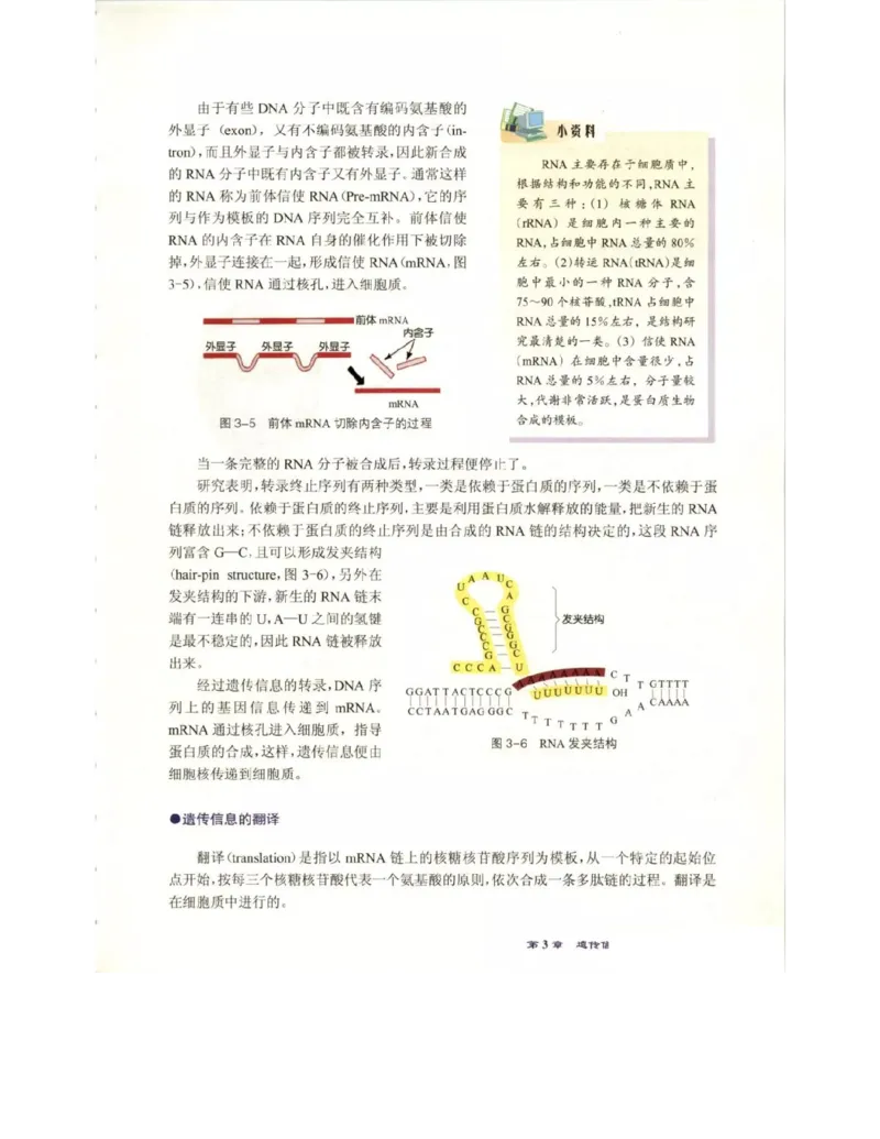 北师大版高中生物必修2电子课本_4-教培资料-26年最新资料-同步更新_初中高中教资_03科三专项（进去保存报考的学科即可）_02科三专项（笔记真题思维导图教学设计版本二）