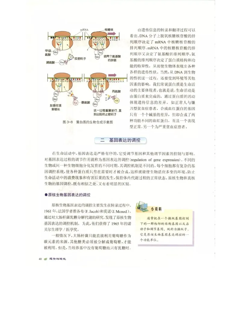 北师大版高中生物必修2电子课本_4-教培资料-26年最新资料-同步更新_初中高中教资_03科三专项（进去保存报考的学科即可）_02科三专项（笔记真题思维导图教学设计版本二）