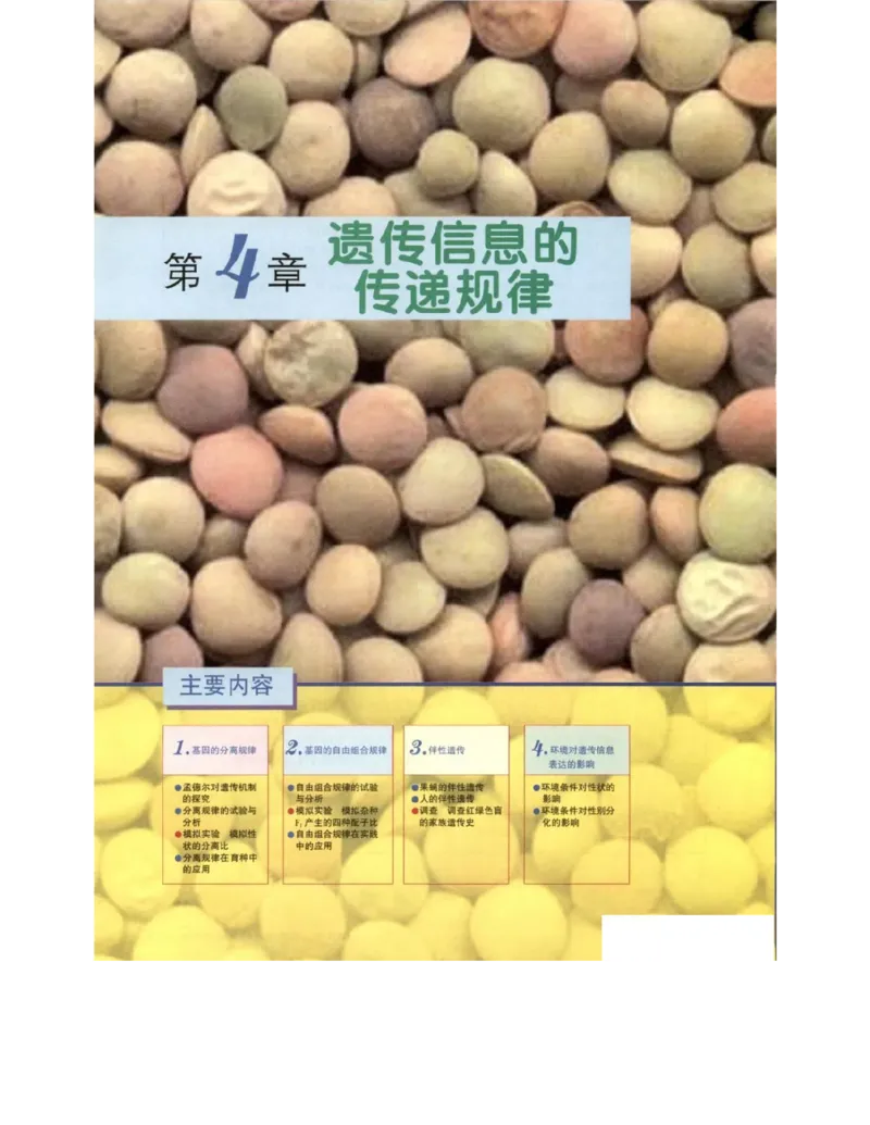北师大版高中生物必修2电子课本_4-教培资料-26年最新资料-同步更新_初中高中教资_03科三专项（进去保存报考的学科即可）_02科三专项（笔记真题思维导图教学设计版本二）