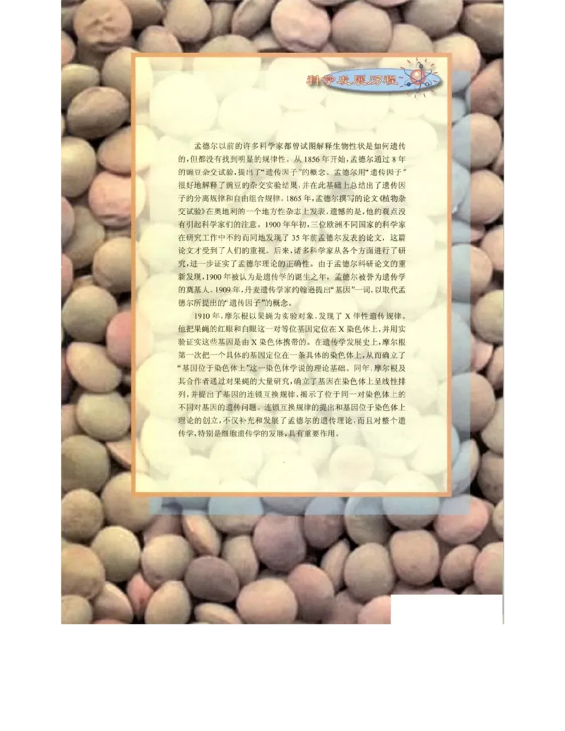 北师大版高中生物必修2电子课本_4-教培资料-26年最新资料-同步更新_初中高中教资_03科三专项（进去保存报考的学科即可）_02科三专项（笔记真题思维导图教学设计版本二）