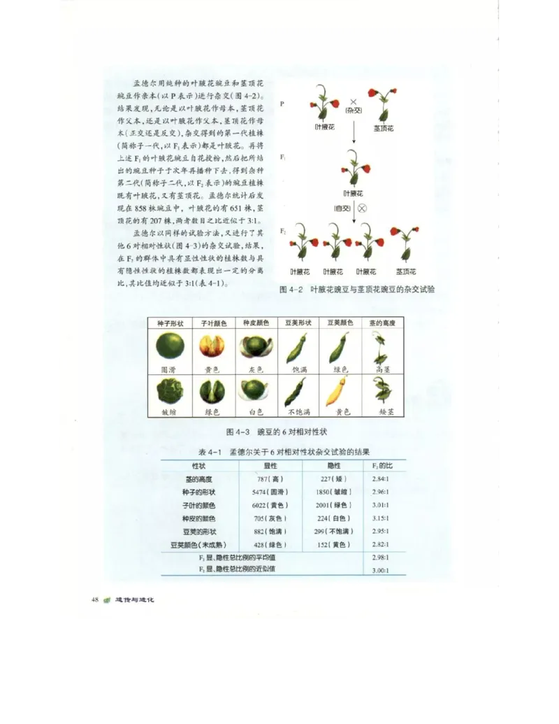 北师大版高中生物必修2电子课本_4-教培资料-26年最新资料-同步更新_初中高中教资_03科三专项（进去保存报考的学科即可）_02科三专项（笔记真题思维导图教学设计版本二）