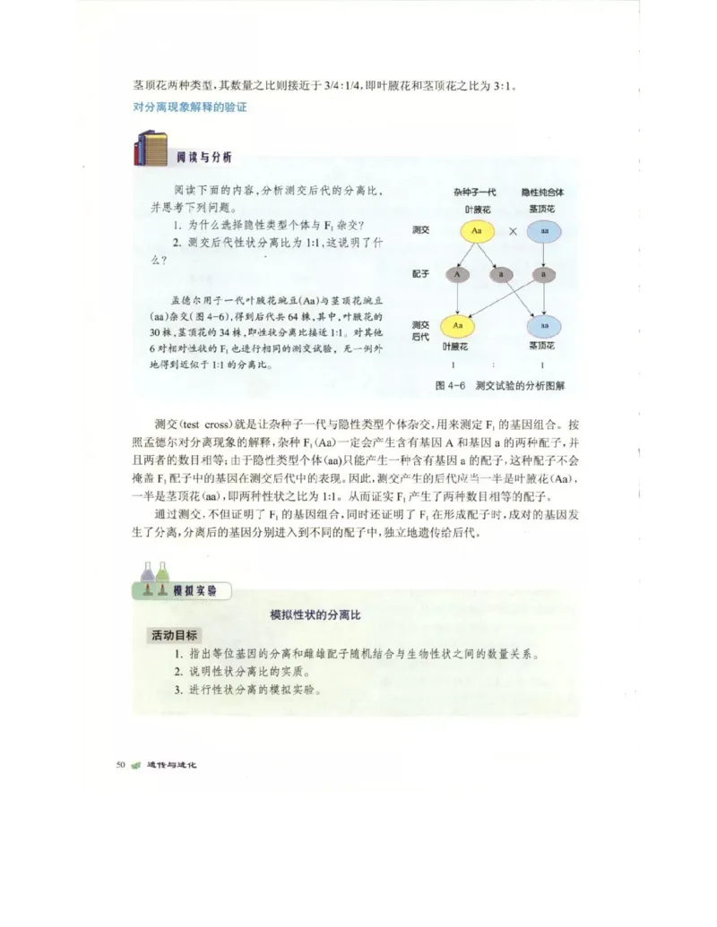 北师大版高中生物必修2电子课本_4-教培资料-26年最新资料-同步更新_初中高中教资_03科三专项（进去保存报考的学科即可）_02科三专项（笔记真题思维导图教学设计版本二）