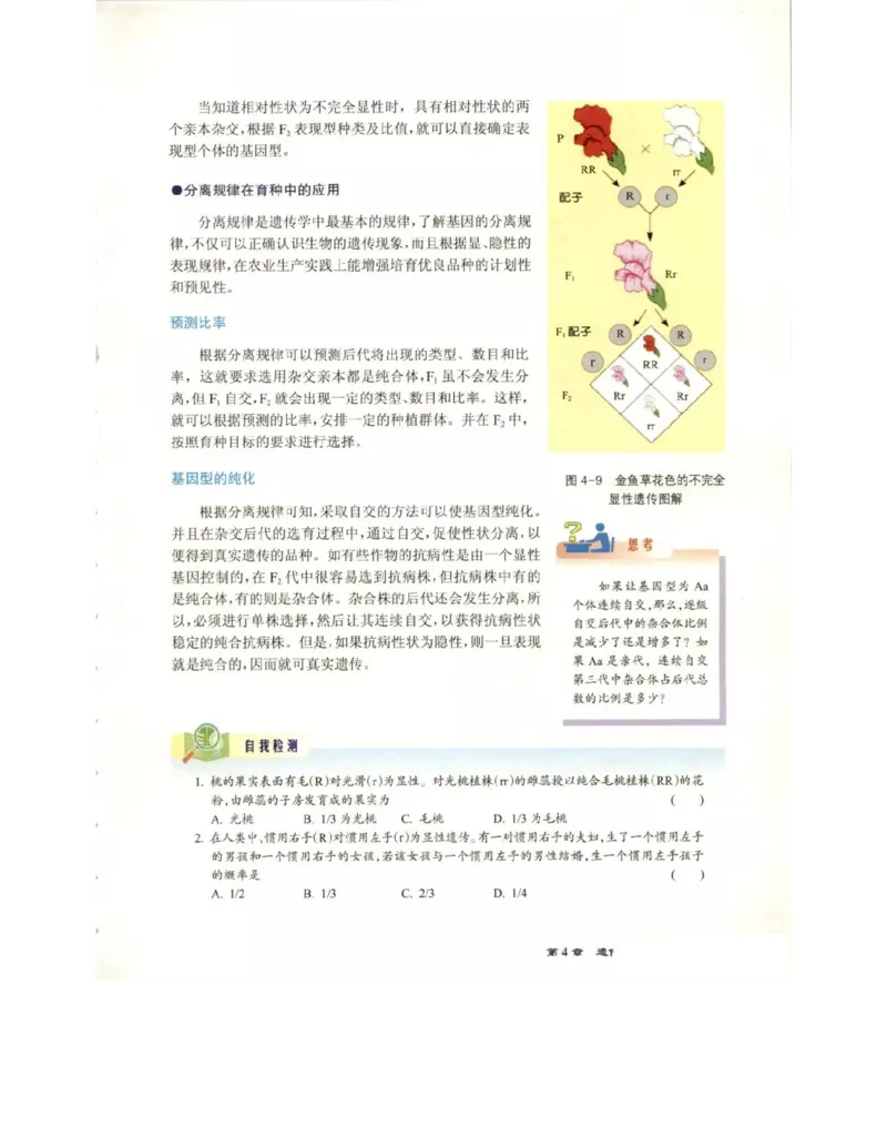 北师大版高中生物必修2电子课本_4-教培资料-26年最新资料-同步更新_初中高中教资_03科三专项（进去保存报考的学科即可）_02科三专项（笔记真题思维导图教学设计版本二）