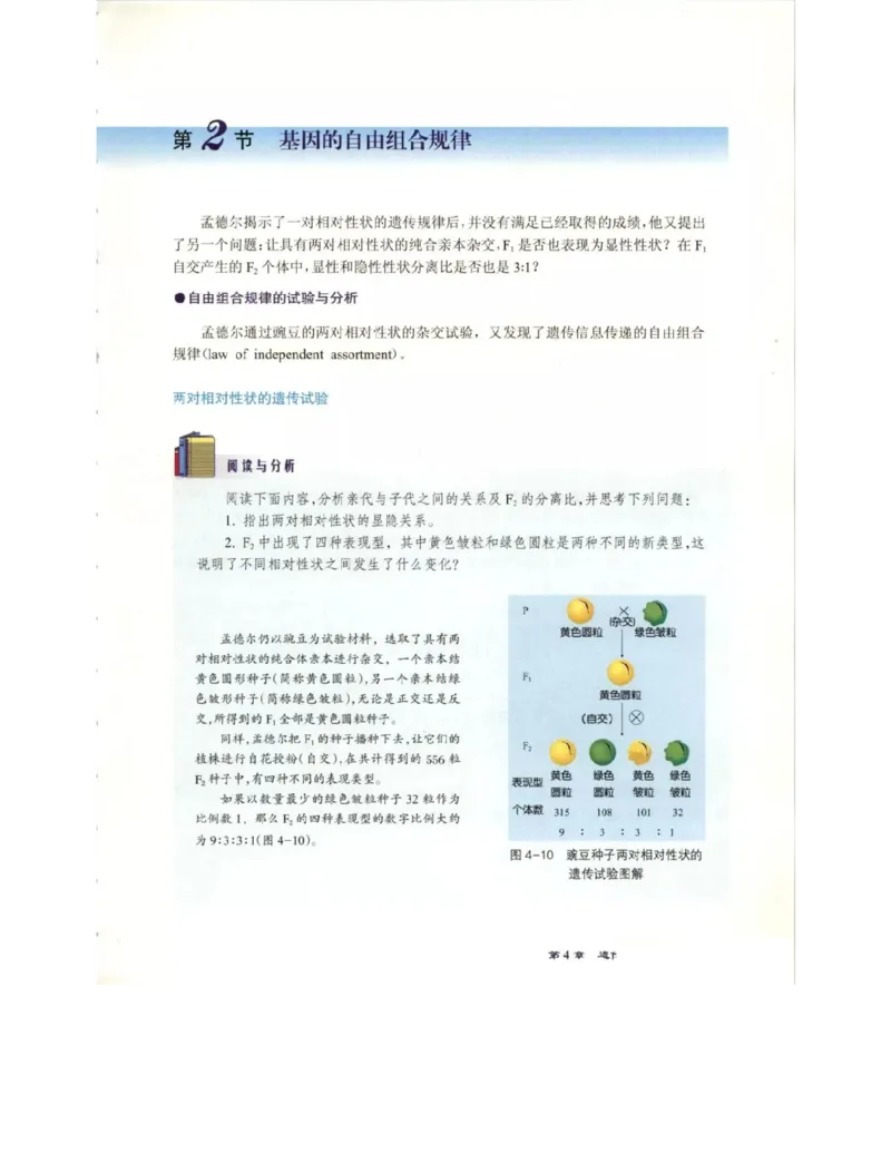 北师大版高中生物必修2电子课本_4-教培资料-26年最新资料-同步更新_初中高中教资_03科三专项（进去保存报考的学科即可）_02科三专项（笔记真题思维导图教学设计版本二）