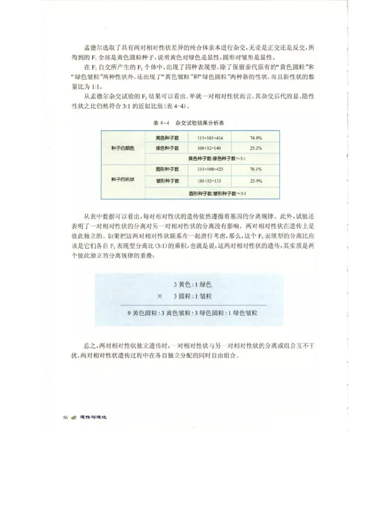 北师大版高中生物必修2电子课本_4-教培资料-26年最新资料-同步更新_初中高中教资_03科三专项（进去保存报考的学科即可）_02科三专项（笔记真题思维导图教学设计版本二）