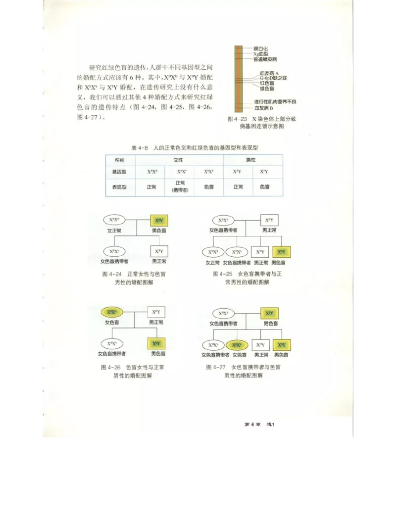北师大版高中生物必修2电子课本_4-教培资料-26年最新资料-同步更新_初中高中教资_03科三专项（进去保存报考的学科即可）_02科三专项（笔记真题思维导图教学设计版本二）