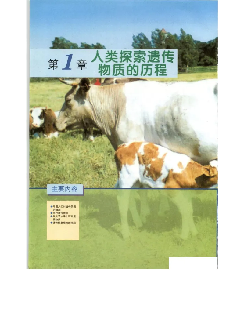 北师大版高中生物必修2电子课本_4-教培资料-26年最新资料-同步更新_初中高中教资_03科三专项（进去保存报考的学科即可）_02科三专项（笔记真题思维导图教学设计版本二）