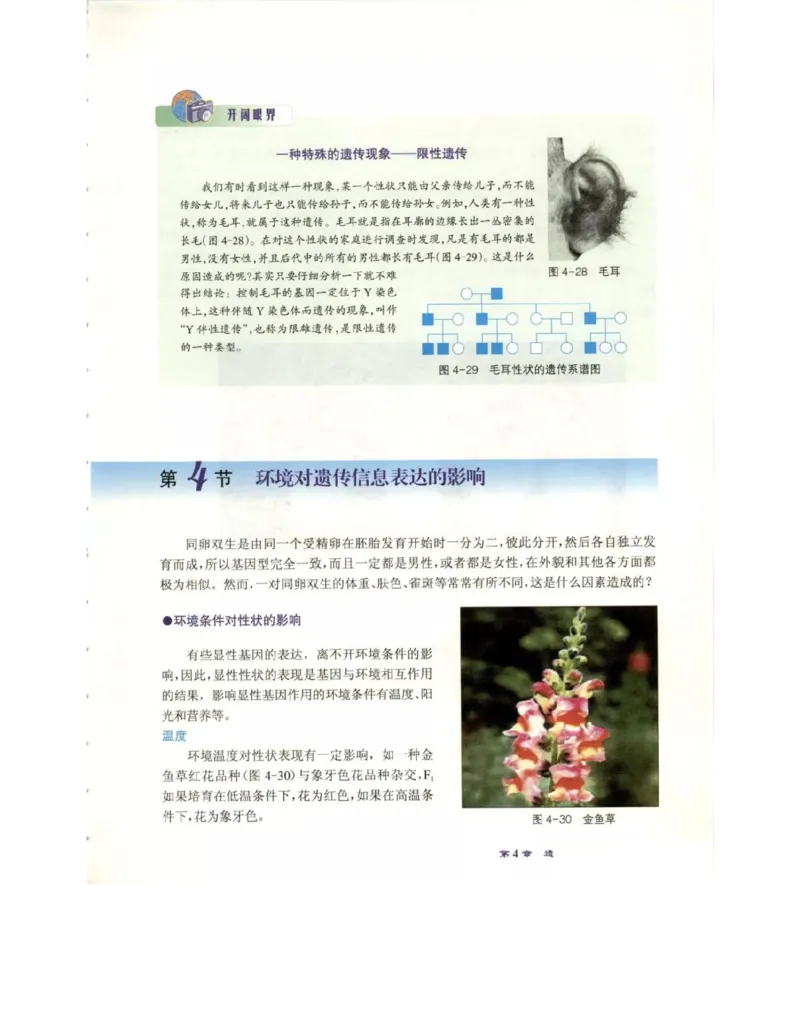 北师大版高中生物必修2电子课本_4-教培资料-26年最新资料-同步更新_初中高中教资_03科三专项（进去保存报考的学科即可）_02科三专项（笔记真题思维导图教学设计版本二）