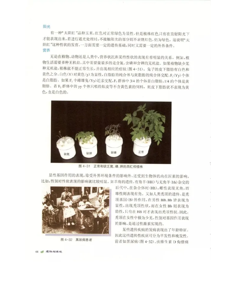 北师大版高中生物必修2电子课本_4-教培资料-26年最新资料-同步更新_初中高中教资_03科三专项（进去保存报考的学科即可）_02科三专项（笔记真题思维导图教学设计版本二）