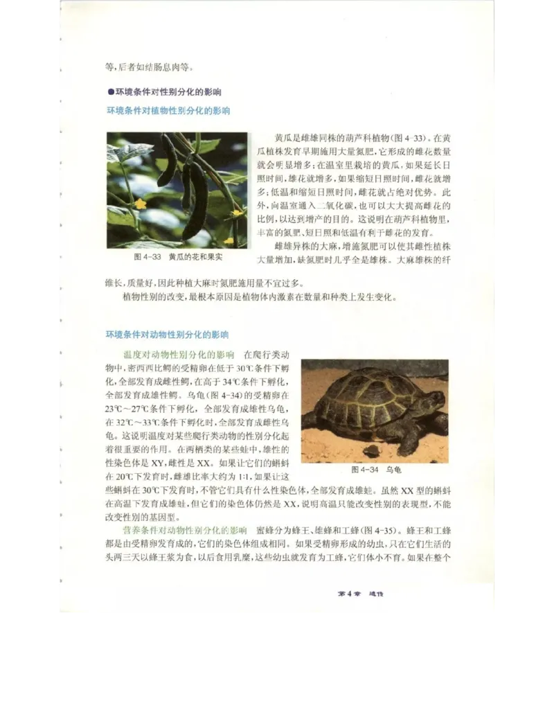 北师大版高中生物必修2电子课本_4-教培资料-26年最新资料-同步更新_初中高中教资_03科三专项（进去保存报考的学科即可）_02科三专项（笔记真题思维导图教学设计版本二）