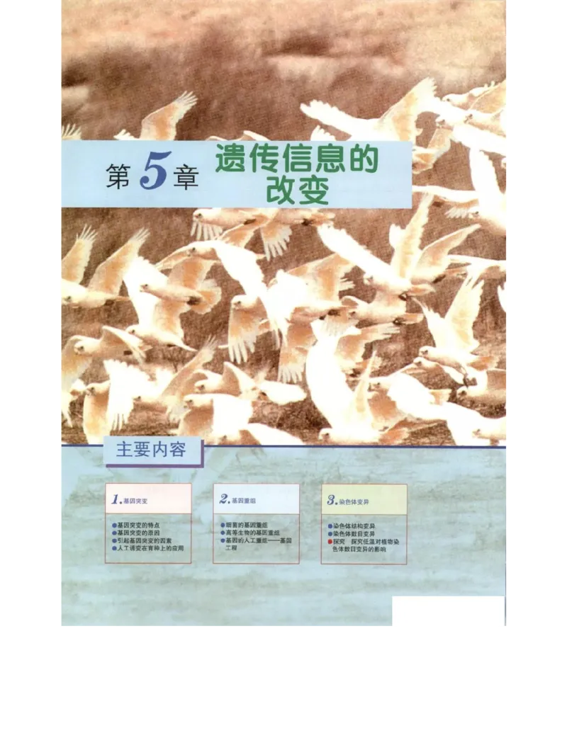 北师大版高中生物必修2电子课本_4-教培资料-26年最新资料-同步更新_初中高中教资_03科三专项（进去保存报考的学科即可）_02科三专项（笔记真题思维导图教学设计版本二）