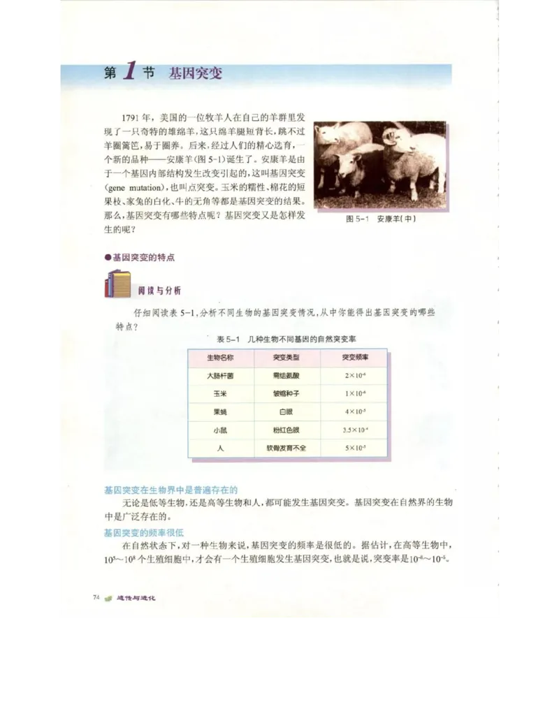北师大版高中生物必修2电子课本_4-教培资料-26年最新资料-同步更新_初中高中教资_03科三专项（进去保存报考的学科即可）_02科三专项（笔记真题思维导图教学设计版本二）