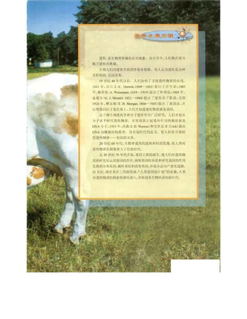 北师大版高中生物必修2电子课本_4-教培资料-26年最新资料-同步更新_初中高中教资_03科三专项（进去保存报考的学科即可）_02科三专项（笔记真题思维导图教学设计版本二）