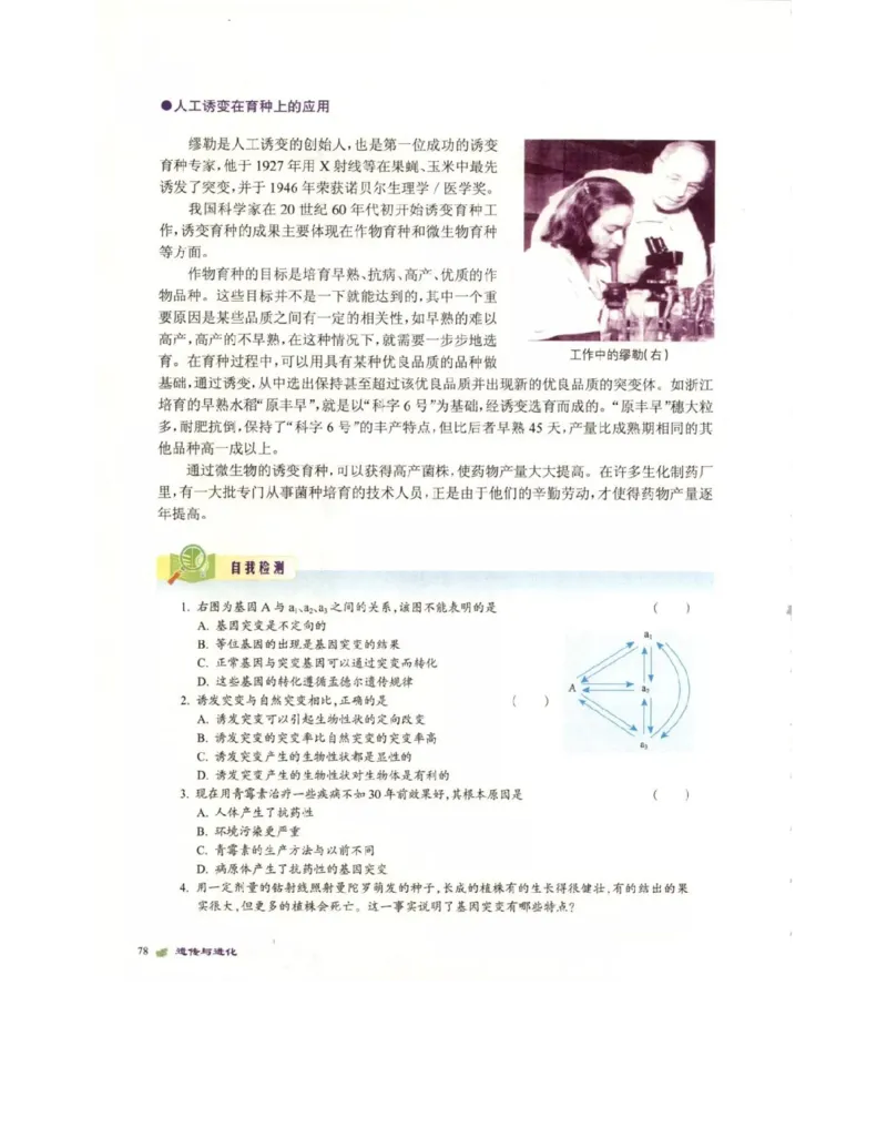 北师大版高中生物必修2电子课本_4-教培资料-26年最新资料-同步更新_初中高中教资_03科三专项（进去保存报考的学科即可）_02科三专项（笔记真题思维导图教学设计版本二）