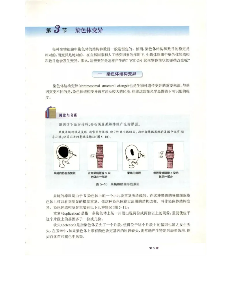 北师大版高中生物必修2电子课本_4-教培资料-26年最新资料-同步更新_初中高中教资_03科三专项（进去保存报考的学科即可）_02科三专项（笔记真题思维导图教学设计版本二）