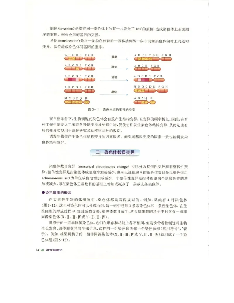 北师大版高中生物必修2电子课本_4-教培资料-26年最新资料-同步更新_初中高中教资_03科三专项（进去保存报考的学科即可）_02科三专项（笔记真题思维导图教学设计版本二）