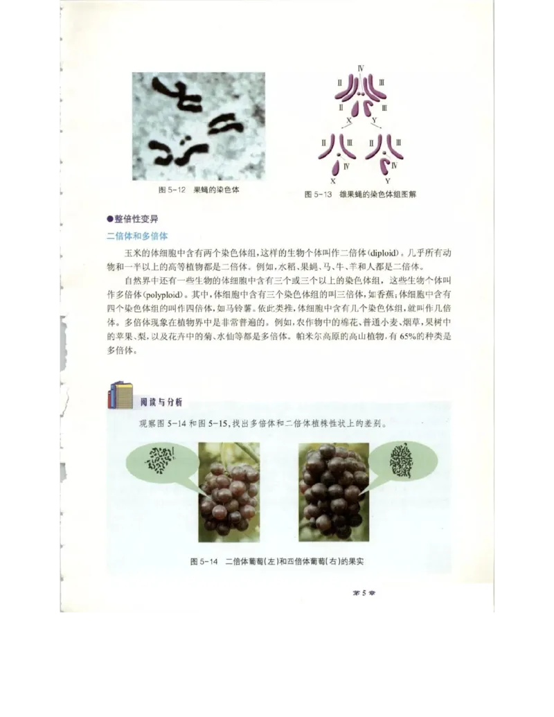 北师大版高中生物必修2电子课本_4-教培资料-26年最新资料-同步更新_初中高中教资_03科三专项（进去保存报考的学科即可）_02科三专项（笔记真题思维导图教学设计版本二）