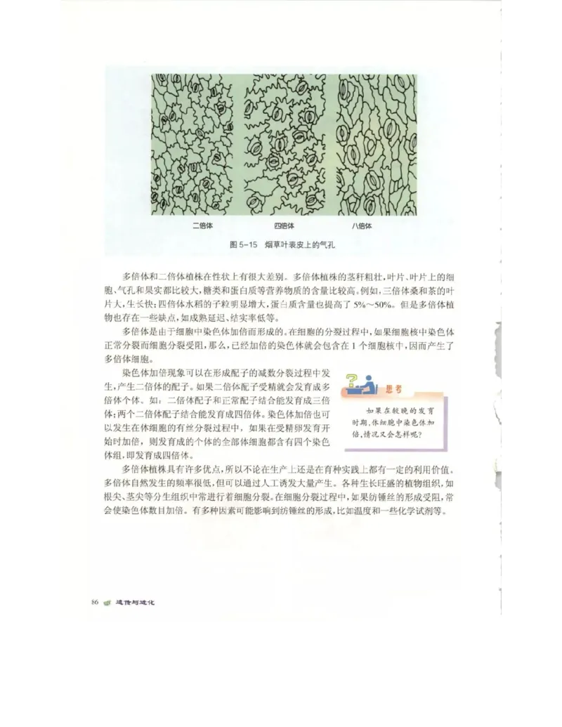 北师大版高中生物必修2电子课本_4-教培资料-26年最新资料-同步更新_初中高中教资_03科三专项（进去保存报考的学科即可）_02科三专项（笔记真题思维导图教学设计版本二）