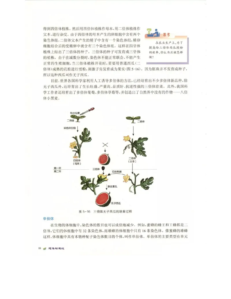 北师大版高中生物必修2电子课本_4-教培资料-26年最新资料-同步更新_初中高中教资_03科三专项（进去保存报考的学科即可）_02科三专项（笔记真题思维导图教学设计版本二）