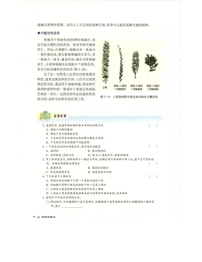 北师大版高中生物必修2电子课本_4-教培资料-26年最新资料-同步更新_初中高中教资_03科三专项（进去保存报考的学科即可）_02科三专项（笔记真题思维导图教学设计版本二）