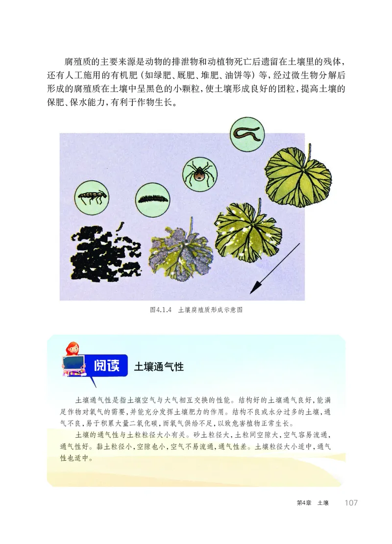 华师大7年级科学下册高清教材_4-教培资料-26年最新资料-同步更新_初中高中教资_03科三专项（进去保存报考的学科即可）_02科三专项（笔记真题思维导图教学设计版本二）