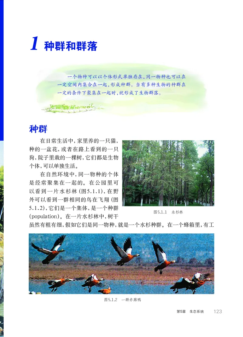 华师大7年级科学下册高清教材_4-教培资料-26年最新资料-同步更新_初中高中教资_03科三专项（进去保存报考的学科即可）_02科三专项（笔记真题思维导图教学设计版本二）