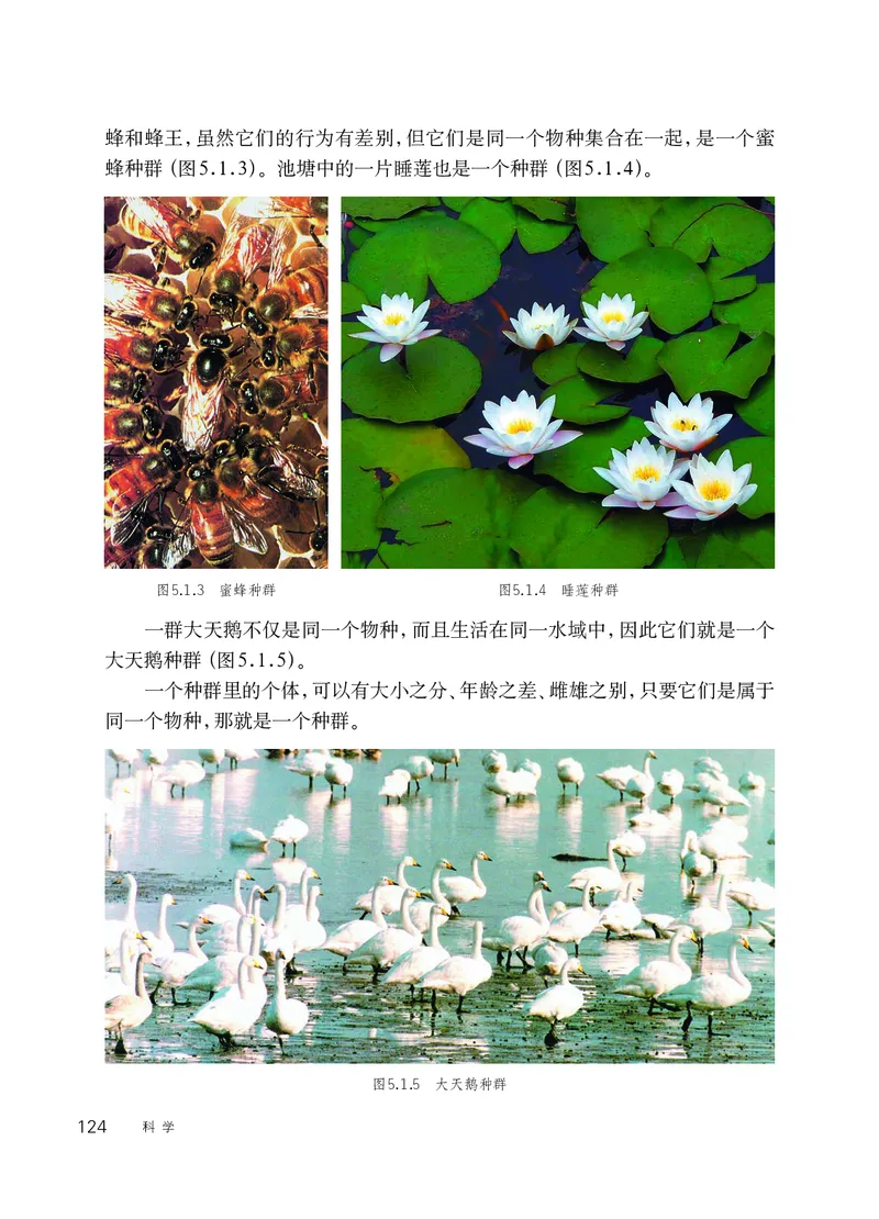 华师大7年级科学下册高清教材_4-教培资料-26年最新资料-同步更新_初中高中教资_03科三专项（进去保存报考的学科即可）_02科三专项（笔记真题思维导图教学设计版本二）