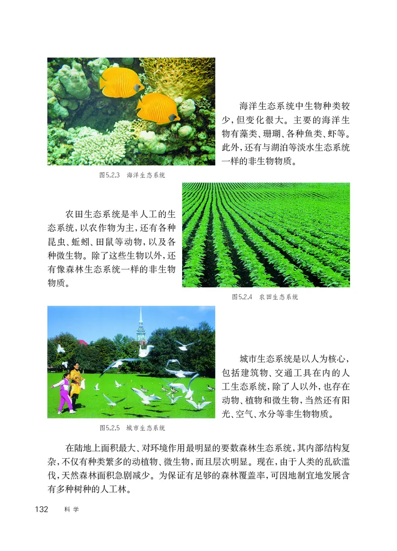 华师大7年级科学下册高清教材_4-教培资料-26年最新资料-同步更新_初中高中教资_03科三专项（进去保存报考的学科即可）_02科三专项（笔记真题思维导图教学设计版本二）