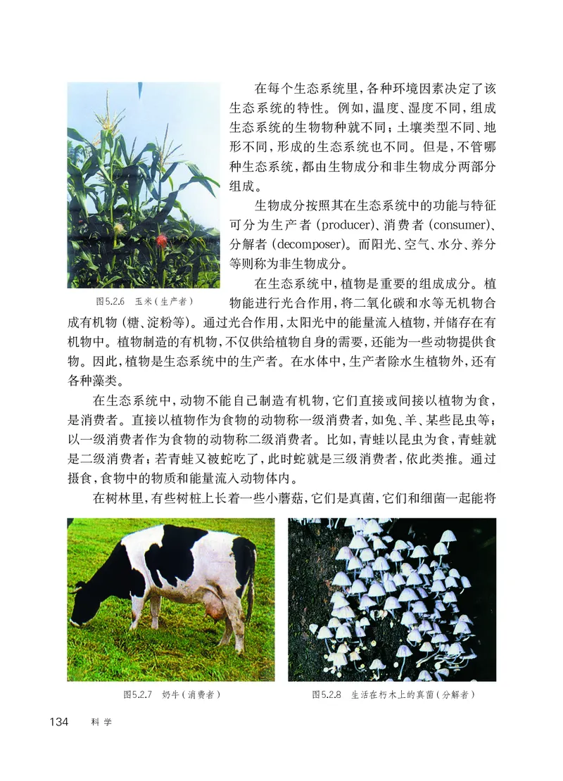 华师大7年级科学下册高清教材_4-教培资料-26年最新资料-同步更新_初中高中教资_03科三专项（进去保存报考的学科即可）_02科三专项（笔记真题思维导图教学设计版本二）