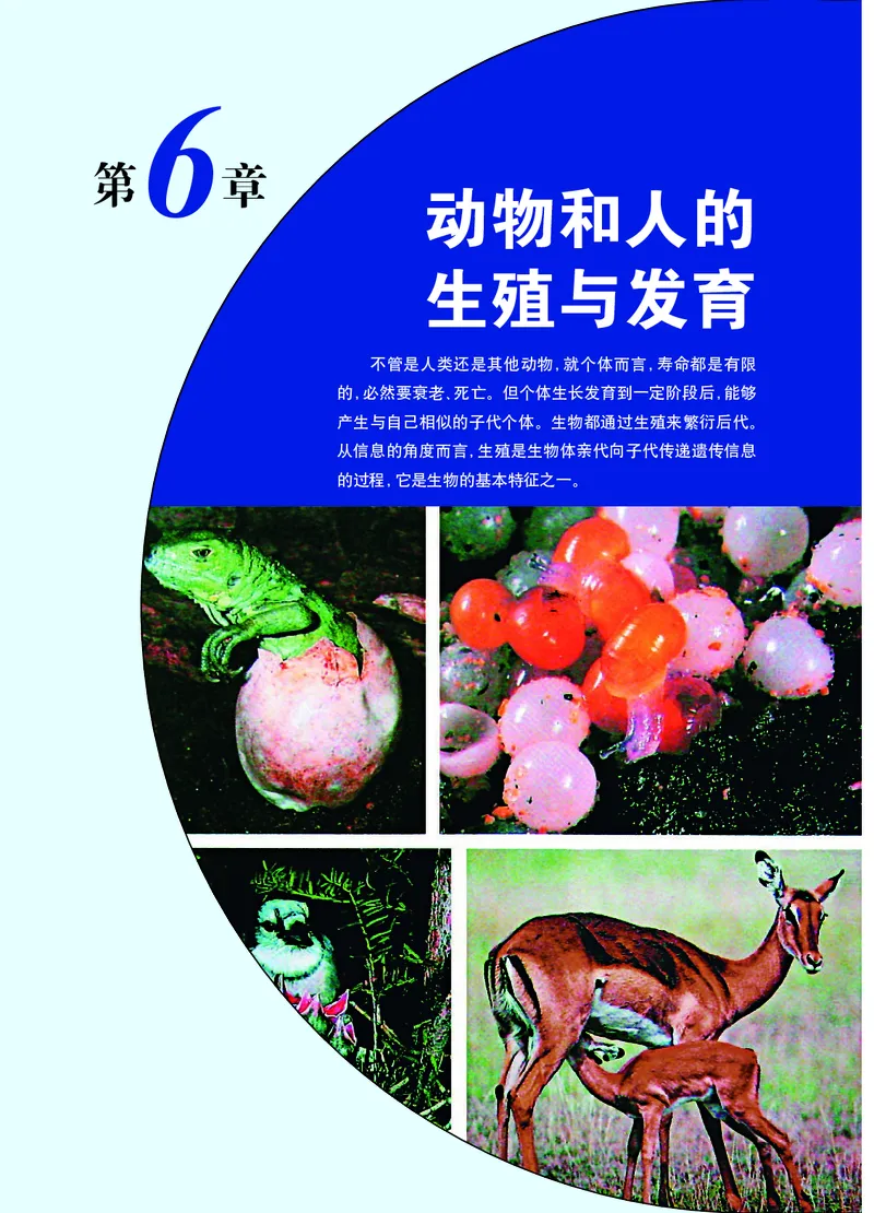 华师大7年级科学下册高清教材_4-教培资料-26年最新资料-同步更新_初中高中教资_03科三专项（进去保存报考的学科即可）_02科三专项（笔记真题思维导图教学设计版本二）