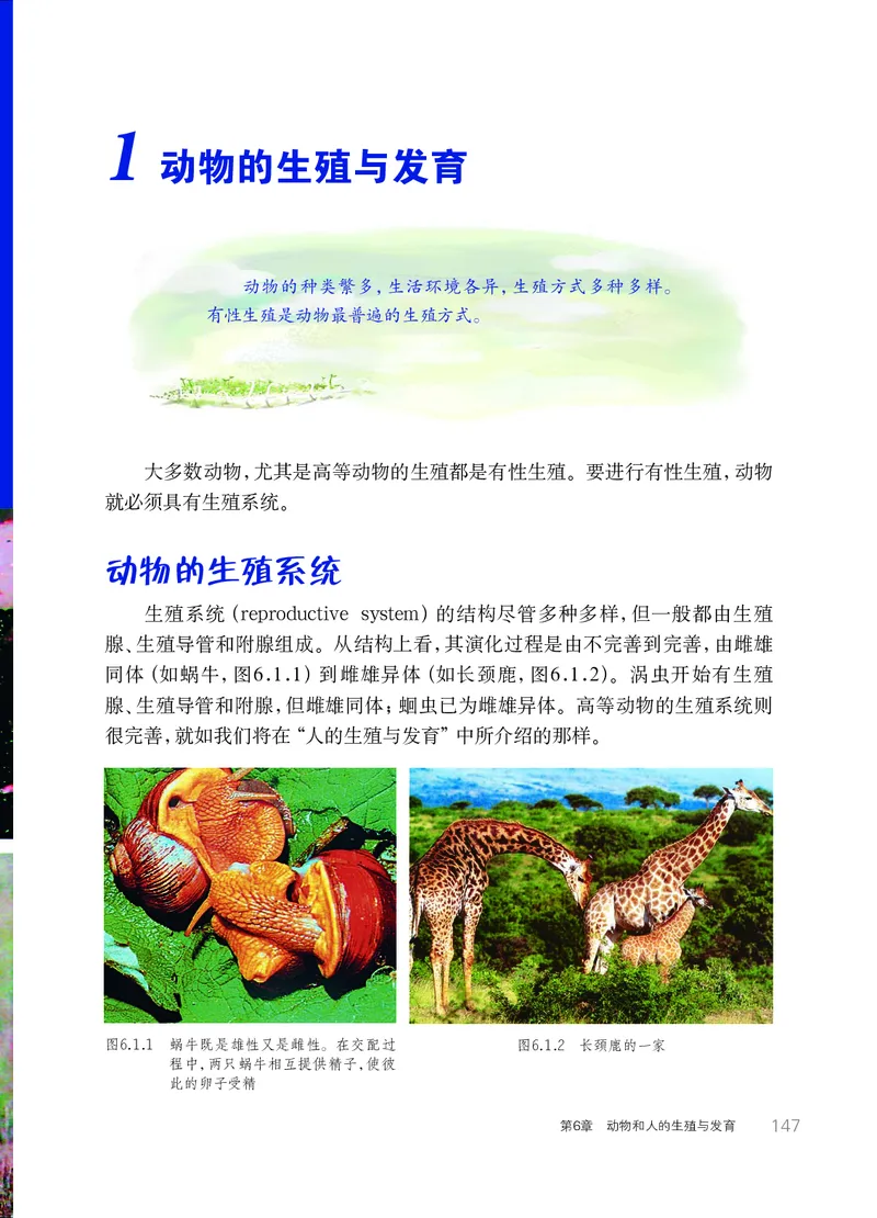 华师大7年级科学下册高清教材_4-教培资料-26年最新资料-同步更新_初中高中教资_03科三专项（进去保存报考的学科即可）_02科三专项（笔记真题思维导图教学设计版本二）