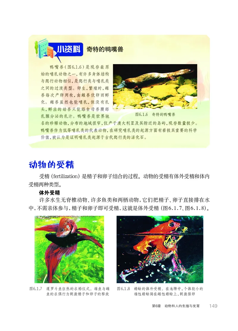 华师大7年级科学下册高清教材_4-教培资料-26年最新资料-同步更新_初中高中教资_03科三专项（进去保存报考的学科即可）_02科三专项（笔记真题思维导图教学设计版本二）